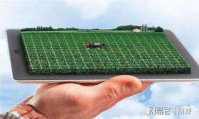 乡村振兴背景下数字农业发展趋势与实践策略探析——聚焦智能农业管理