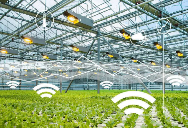 智能农业管理下物联卡的应用场景与功能特色