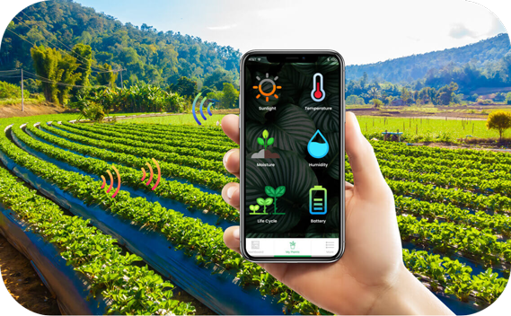 数字化乡村智能管理 引领农业革命，助推农民增产致富