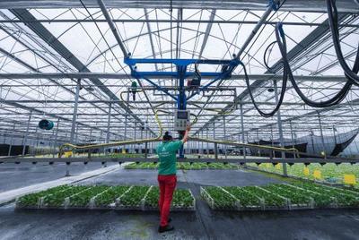 数字牧羊人 智能农业管理如何重塑北欧工作与生活平衡