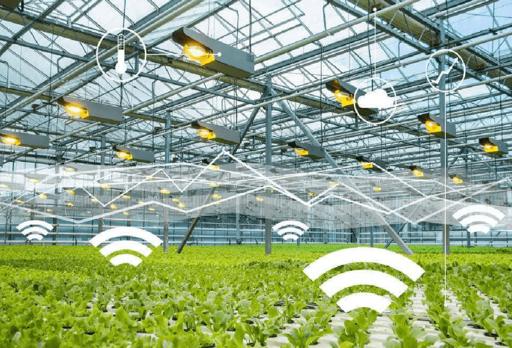 物联网时代下，物联卡在智慧农业中的应用场景与特性解析