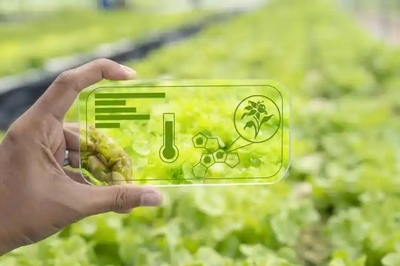 智能农业管理 人工智能如何赋能现代农业的精细化发展