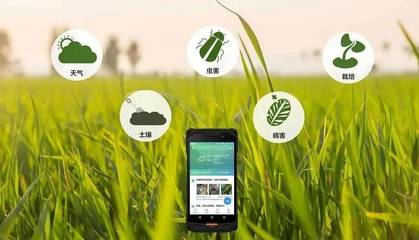 智慧农业 以智能管理引领农业现代化新征程