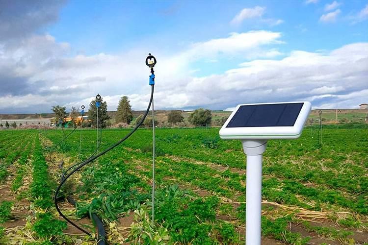 智慧灌溉 驱动智能农业管理的高效引擎