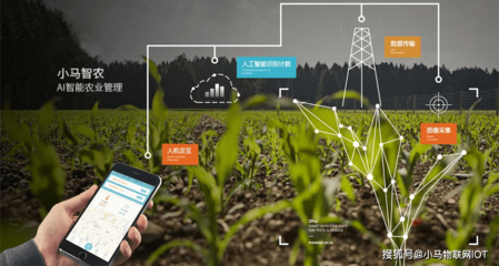 “智慧农业”助力乡村振兴 智能农业管理的变革与前景