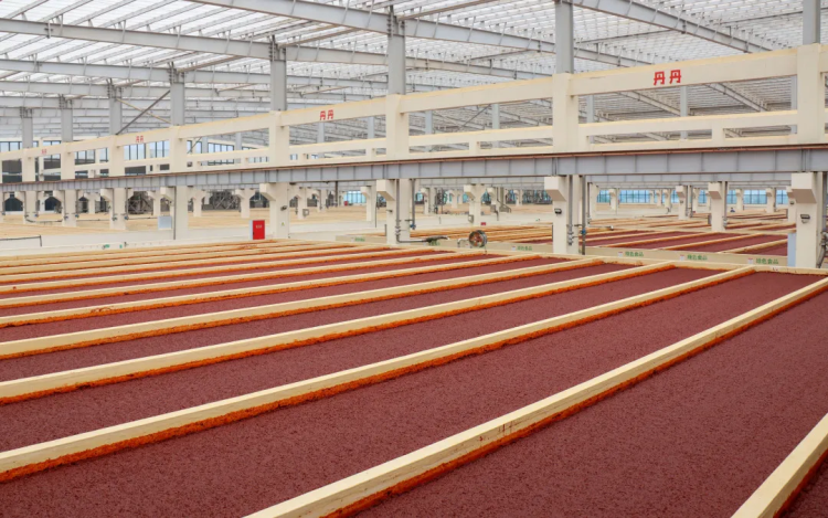 入选国家级重点培育名单！这勺郫县豆瓣藏着川味的“世界通行证”与智能农业管理