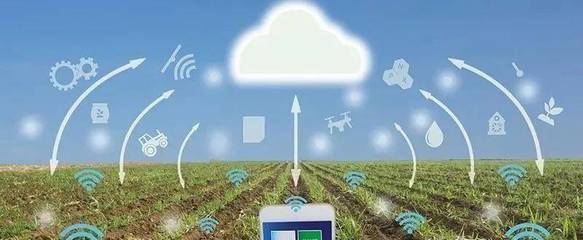 构建新农业 智能农业管理的创新与实践探索