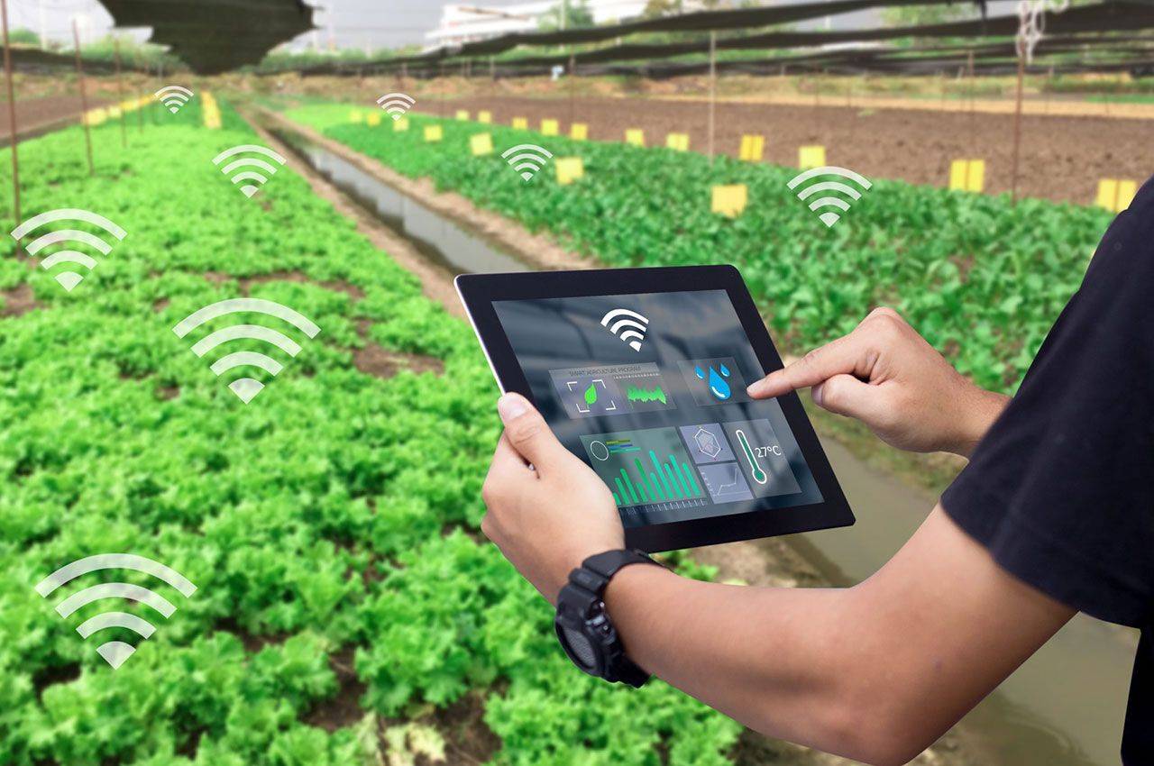 领航乡村振兴 5G智慧农业助力数字农业革新