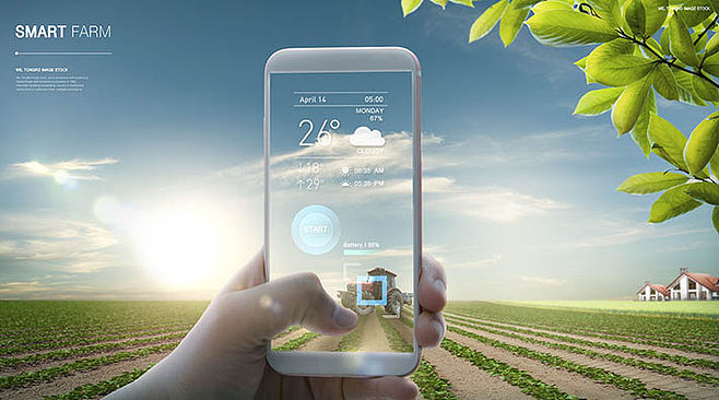 科技赋能未来 智能手机在智能农业管理中的应用