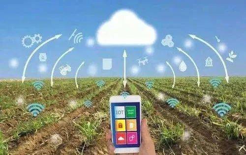 智慧农业 以数据赋能农业现代化高质量发展