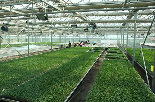 乡村巧搭数字快车 智能农业管理助力乡村振兴