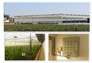 为了农业理想销毁400万农产品 元真梨背后的智能农业探索