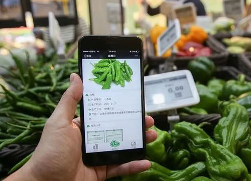 为什么要农产品溯源？一文为你解答智能农业管理